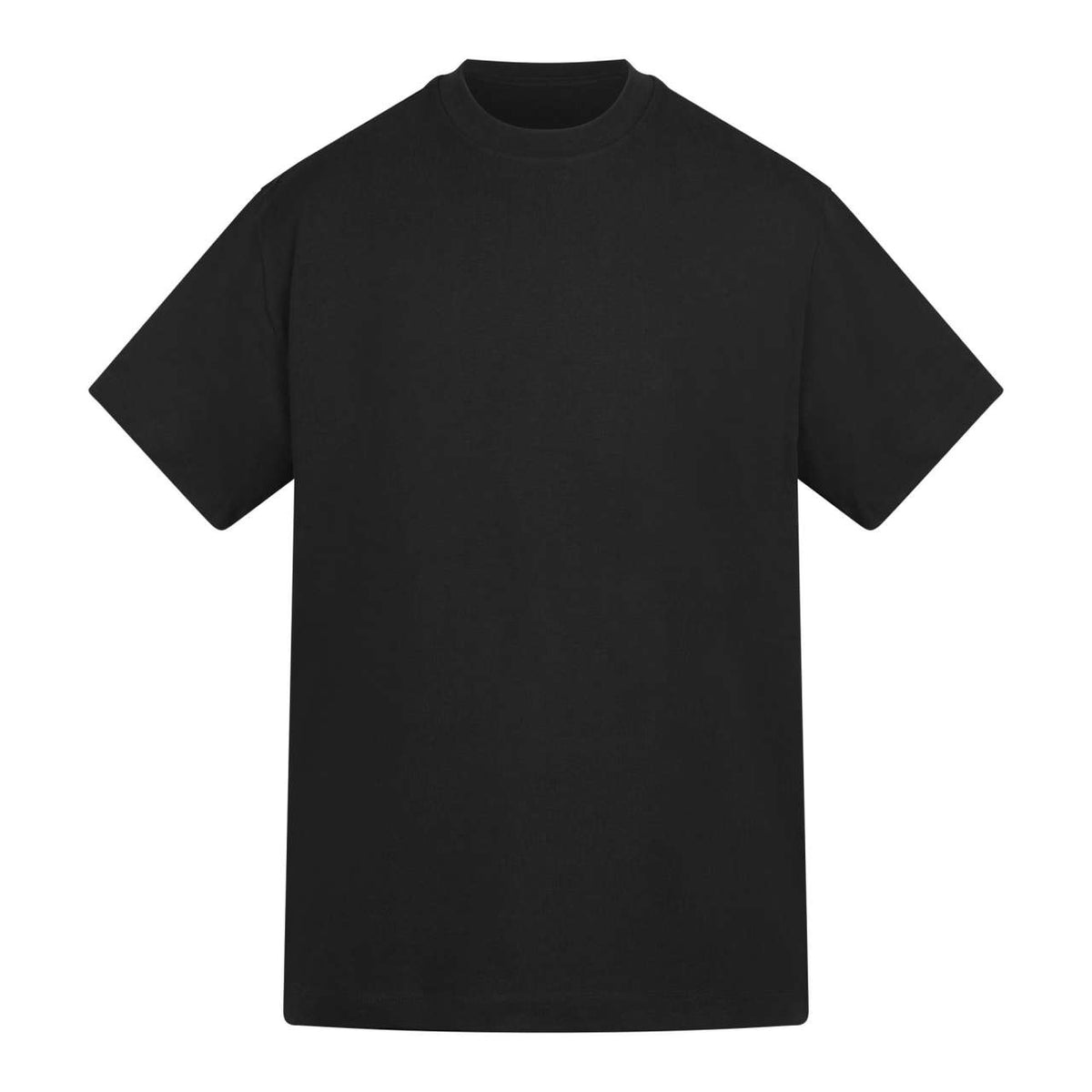 Anthem Amplify Heavyweight T-Shirt